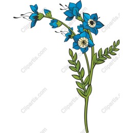 Vibrant Blue Floral