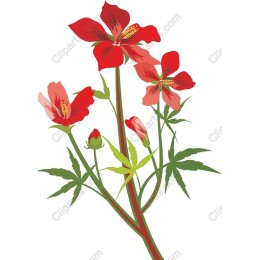 Red Flower