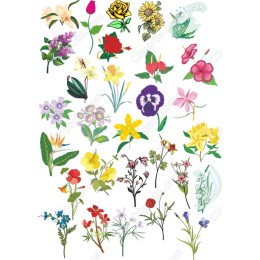 Charming Botanical Set