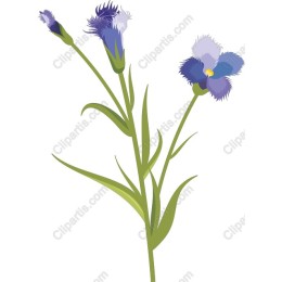 Delicate Blue Flower