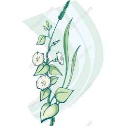 Elegant Flower Vine