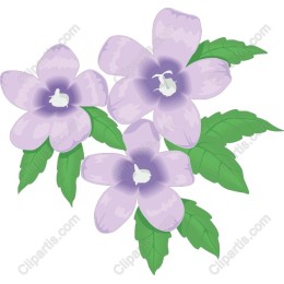Lavender Floral Set