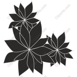 Stylish Succulent