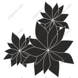 Succulent Leaf