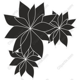Elegant Floral