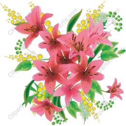 Pink Lily Floral