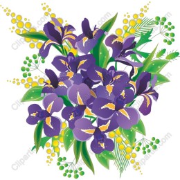 Purple Iris Floral