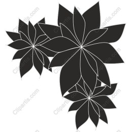 Elegant Succulent Leaves