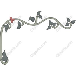 Elegant Vine Border