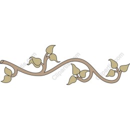 Elegant Vine with Budding Leaves