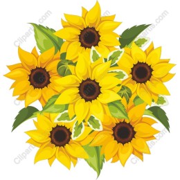Sunflower Bouquet