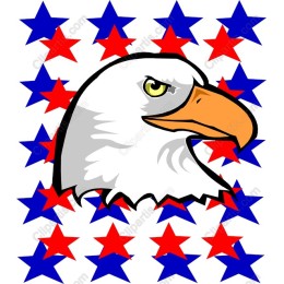 Bald Eagle Head with Patriotic Stars Background