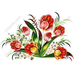 Vibrant Tulip Floral