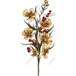 Vibrant Floral Elegance Bundle