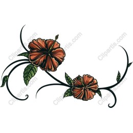Tropical Hibiscus Floral