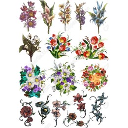 Floral Bundle: Hand-Drawn Flower