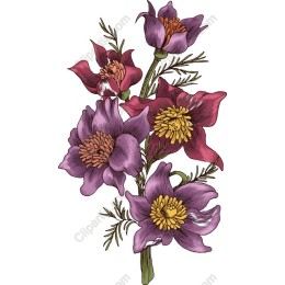 Vibrant Floral Bouquet