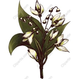 Lily-of-the-Valley Floral