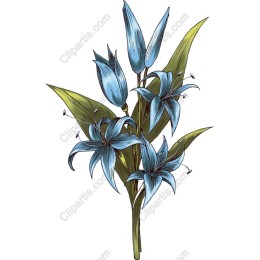 Elegant Blue Floral