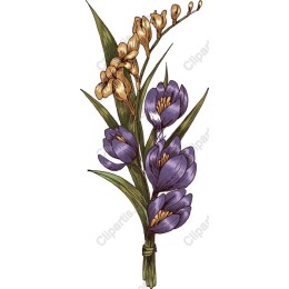 Crocus Bouquet
