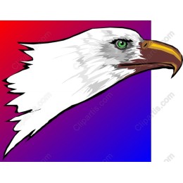 Majestic Eagle Head