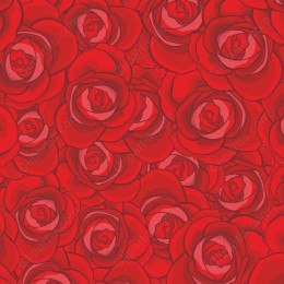 Elegant Red Rose