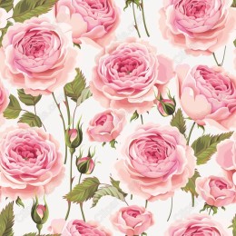 Elegant Pink Roses
