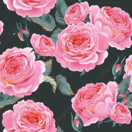 Pink Rose Floral