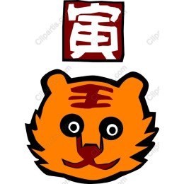 Vibrant Tiger Face