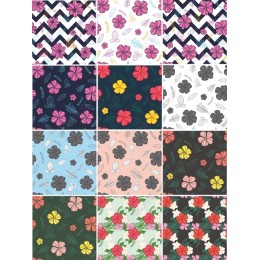 Hibiscus Flower Collection