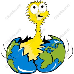 Cheerful Yellow Bird Cracking Earth