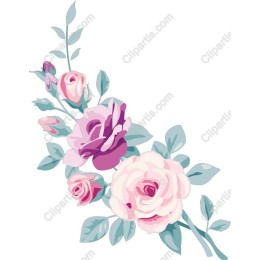 Pastel Rose Floral
