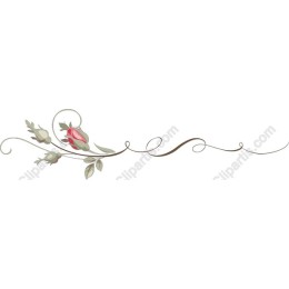 Elegant Floral Border