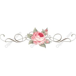 Floral Rose