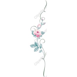 Elegant Pink Rose