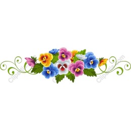 Vibrant Pansy Floral