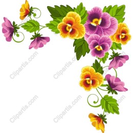 Vibrant Floral Pansy
