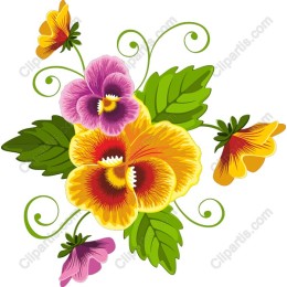 Vibrant Floral Pansy