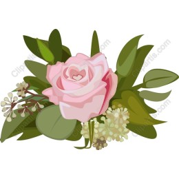 Rose Elegance - Pink Floral