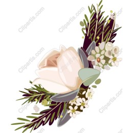 Magnolia Blossom Floral