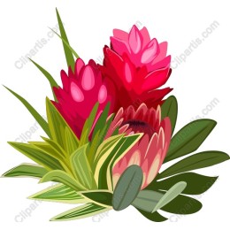 Vibrant Protea Floral