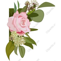 Elegant Pink Rose Floral