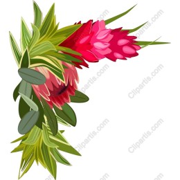 Vibrant Tropical Floral Corner