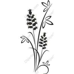 Delicate Floral
