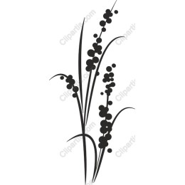 Elegant Floral