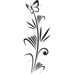Butterfly Floral