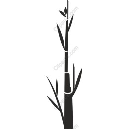 Elegant Bamboo
