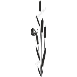 Elegant Butterfly and Cattail