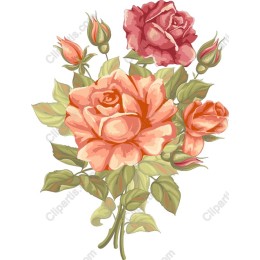 Stunning Rose - Floral