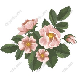 Delicate Pink Floral